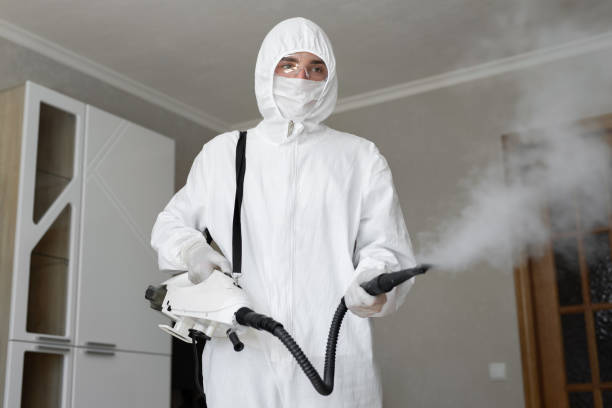 Best Emergency Mold Remediation  in Port Reading, NJ